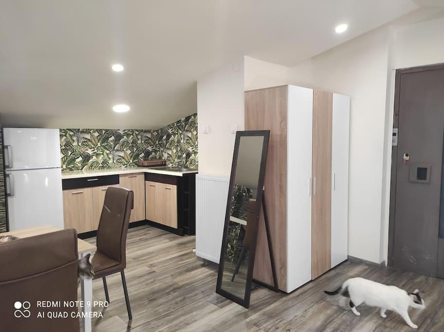 Σοφίτα Καλλύνω Apartment เทสซาโลนิกิ ภายนอก รูปภาพ